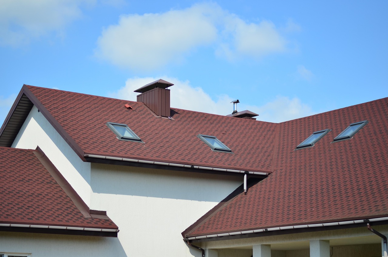 Roof with red tiles